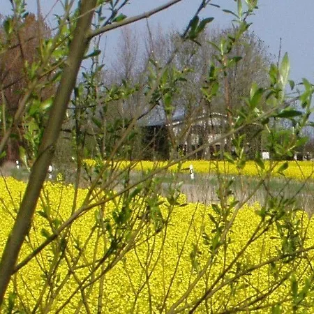 Apartament Op-england-i-mit-terrasse-grossem-garten