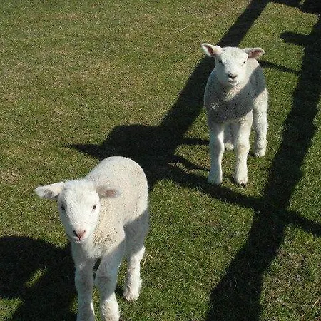 Op-england-i-mit-terrasse-grossem-garten * Nordstrand