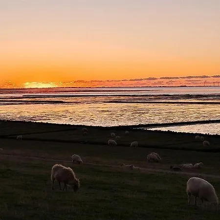 Op-england-i-mit-terrasse-grossem-garten Nordstrand